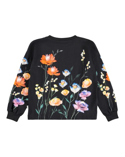 MOLO SWEAT A COL ROND